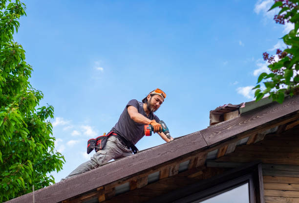 Best Roof Maintenance and Cleaning  in Newkirk, OK